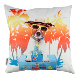 Aberto Design Cojín Multicolor 43 x 43 cm con Relleno de Silicona